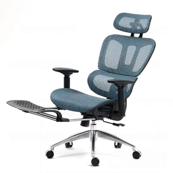 Ghế Công Thái Học Màu Xanh