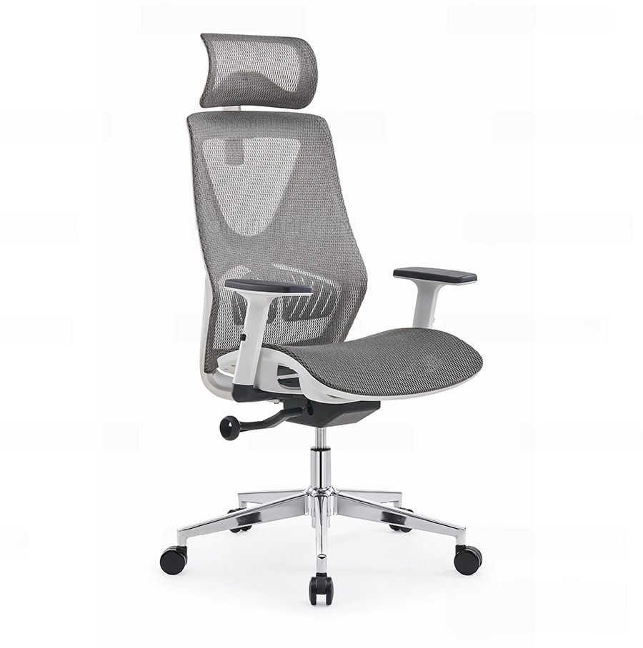 Ghế Ghế Làm Việc Công Thái Học Ergonomi CTH33X